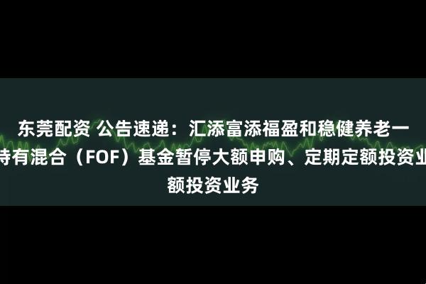 东莞配资 公告速递:汇添富添福盈和稳健养老一年持有混合(FOF)基金暂停大额申购、定期定额投资业务