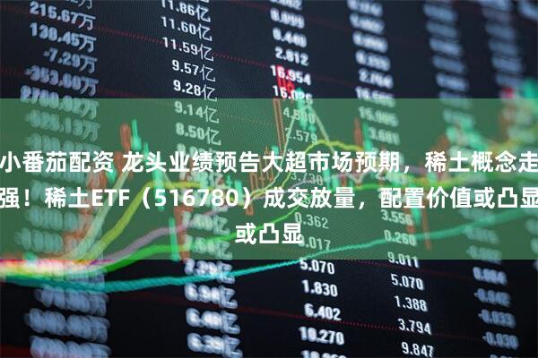 小番茄配资 龙头业绩预告大超市场预期,稀土概念走强!稀土ETF(516780)成交放量,配置价值或凸显